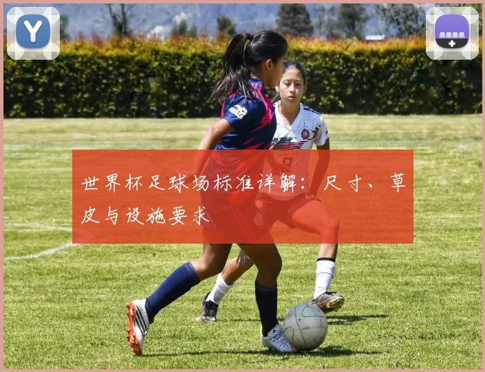 世界杯足球场标准详解：尺寸、草皮与设施要求