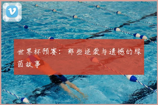世界杯预赛：那些逆袭与遗憾的绿茵故事