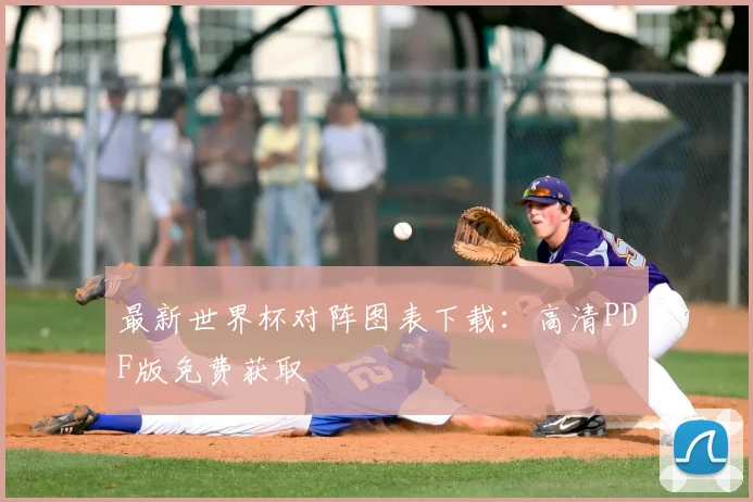最新世界杯对阵图表下载：高清PDF版免费获取