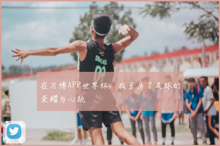 在万博APP世界杯，我亲历了足球的荣耀与心跳