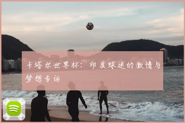 卡塔尔世界杯:印度球迷的激情与梦想专访