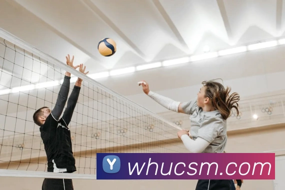 乐竞官网登录入口平台生态图