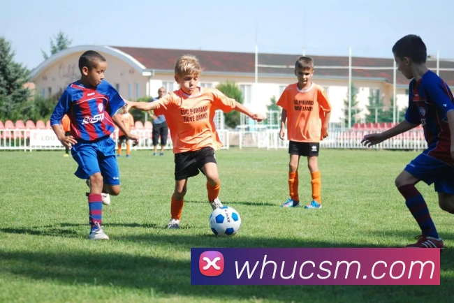 乐竞官网登录入口APP 封面图